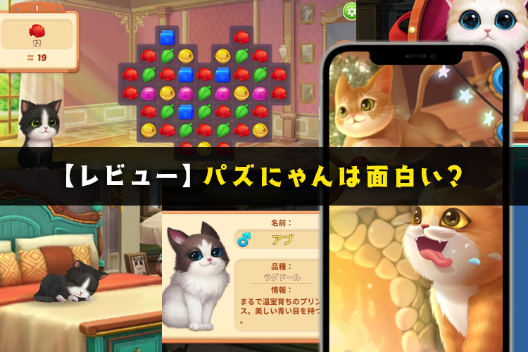 【レビュー】パズにゃんは面白い？可愛い猫がたくさん出てくるパズルゲーム【口コミ・評価・評判】